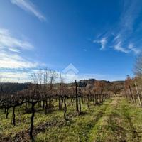 TER. AGRICOLO A CASPERIA