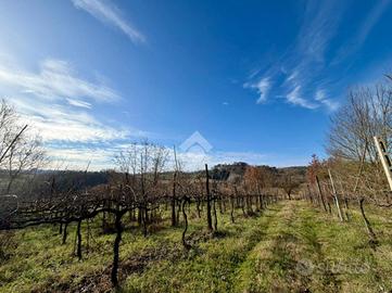 TER. AGRICOLO A CASPERIA