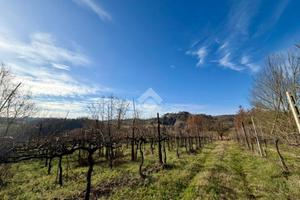 TER. AGRICOLO A CASPERIA