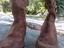 Immagine 2