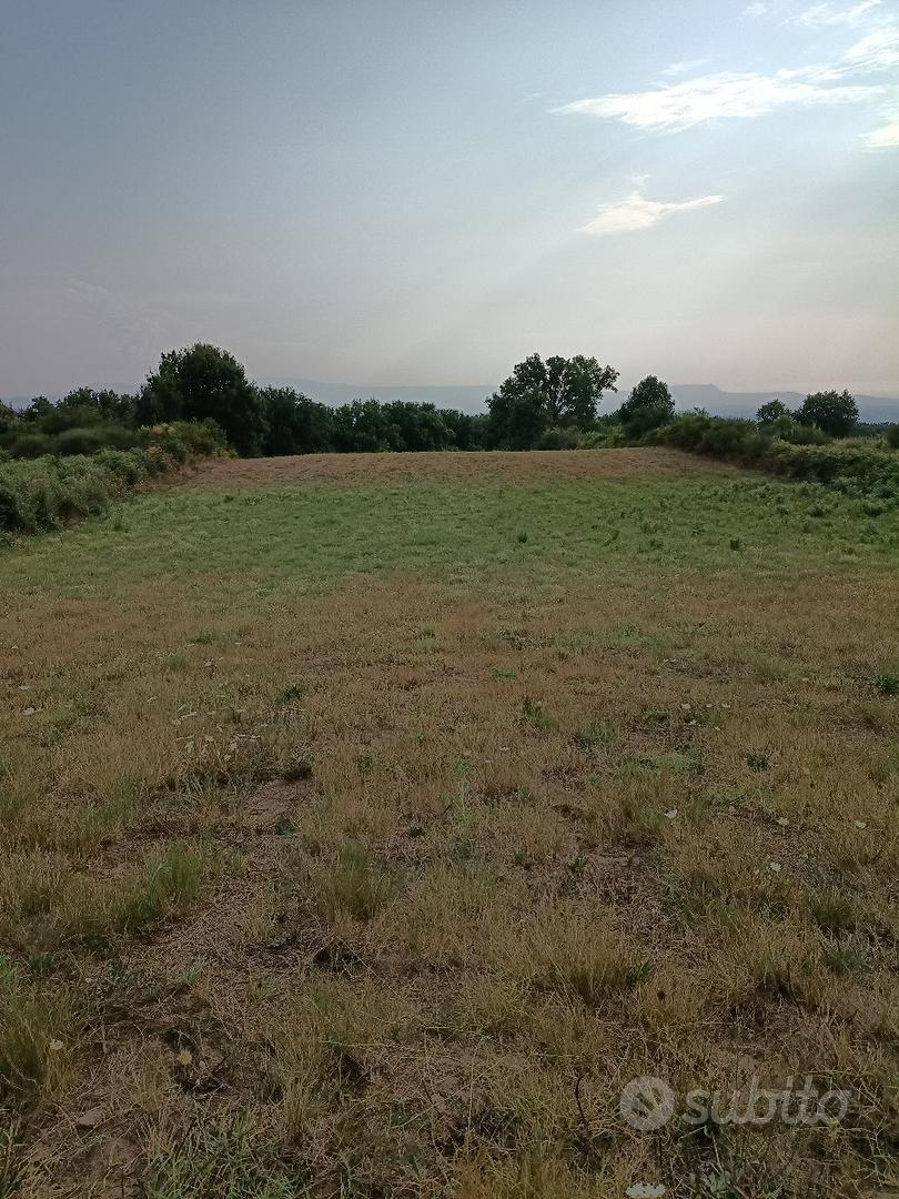 Terreno agricolo localita' Santa Maria Inferiore - Vista 4