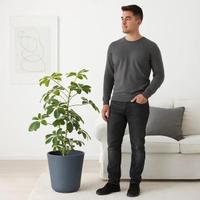 Maxi vaso Ostlig Ikea