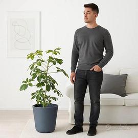 Maxi vaso Ostlig Ikea