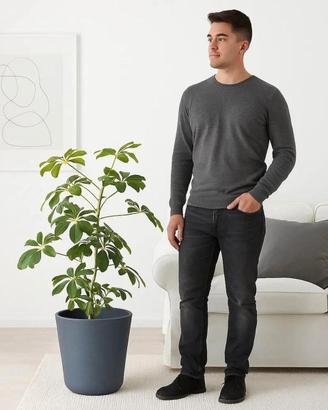 Maxi vaso Ostlig Ikea