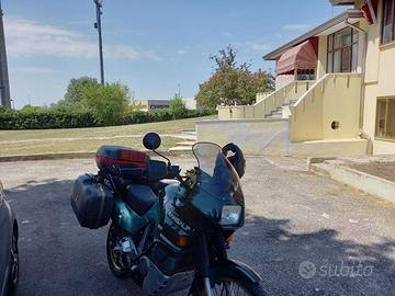 Honda Transalp 600 gennaio 1994  iscritta FMI