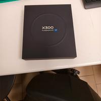 Vivo X300