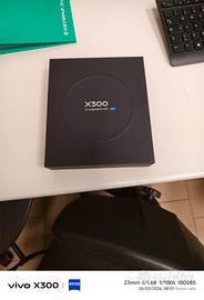 Vivo X300