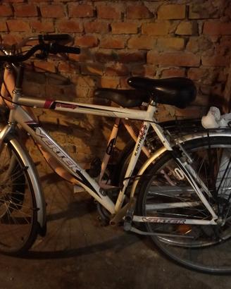 bicicletta uomo 