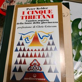 libro  I CINQUE TIBETANI