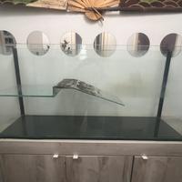 Acquario