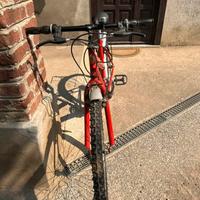 Bicicletta