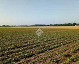 TER. AGRICOLO A GRUMELLO DEL MONTE