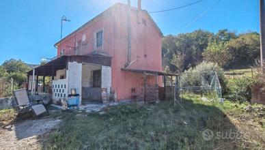 Apice