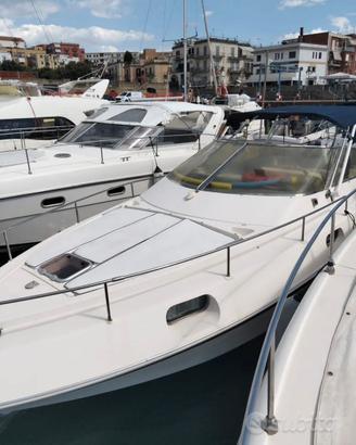 CONAM LUPO DI MARE 36