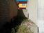 Immagine 7