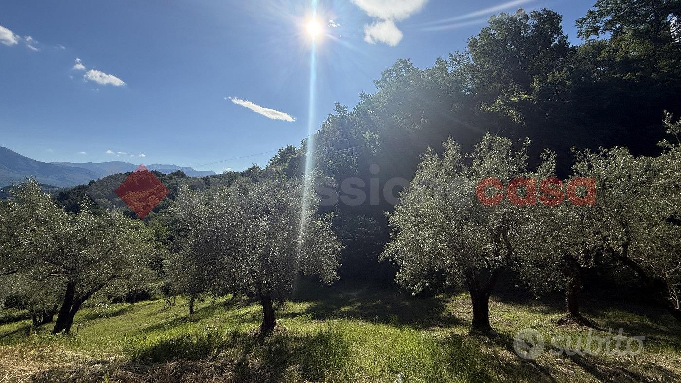 Terreno Agricolo Fumone [Cod. rif 3318314VRG] - View 4