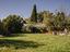 Immagine 17