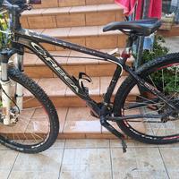 bici ORBEA 29