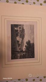 Incisione originale del 1800