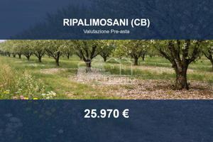 Immobile in asta di 7208 m² a Ripalimosani