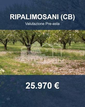 Immobile in asta di 7208 m² a Ripalimosani