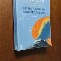 Romanzo "Le rondini di Montecassino"