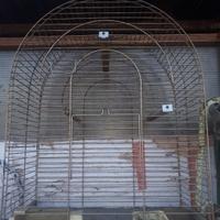 gabbia 
