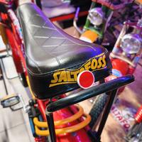 GEMME FARO POSTERIORE CATARIFRANGENTE SALTAFOSS