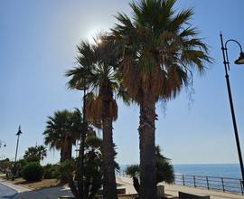 Sicilia Appartamento a pochi passi dal mare