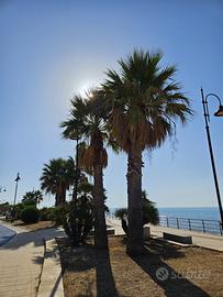 Sicilia Appartamento a pochi passi dal mare