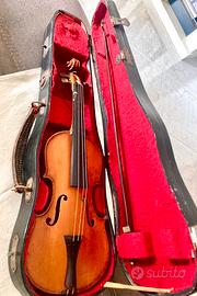 Violino