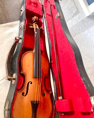 Violino