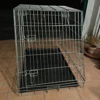 Kennel