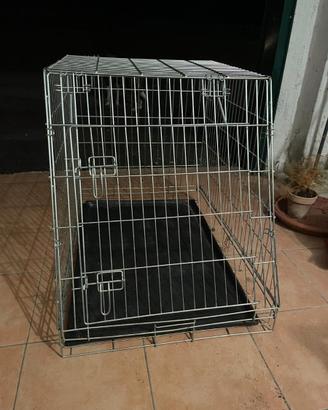 Kennel