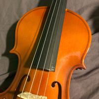 Violino