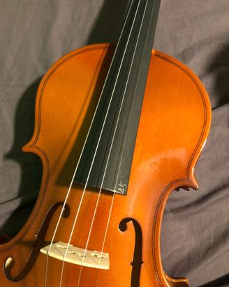 Violino