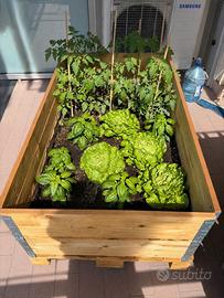 Orto urbano / fioriera