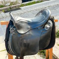 Sella pioneer