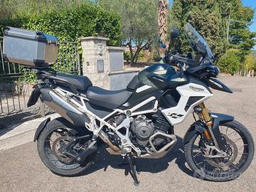 Tiger 1200 Rally Pro