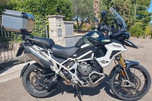 Tiger 1200 Rally Pro