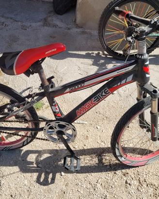 bici mtb e Atala 24