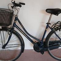 bicicletta Regina da passeggio
