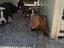 Immagine 6