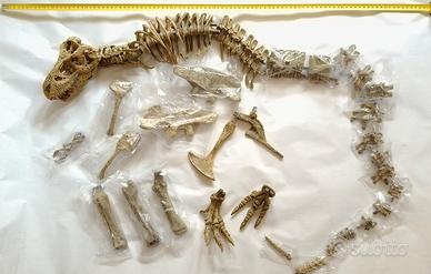 Modello di  T-rex  in plastica -incompleto
