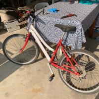 bici mtb 24" età 9-12 anni