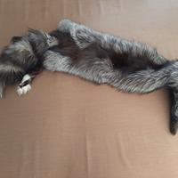 Stola da collo volpe argentata