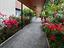 Immagine 23