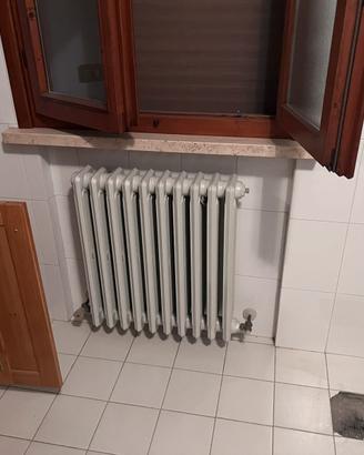 Radiatore ghisa
