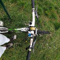 Bici da downhil