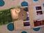 Immagine 3